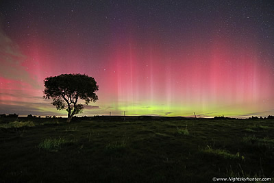 Beaghmore Aurora & Fairy Tree - September 13th 2024